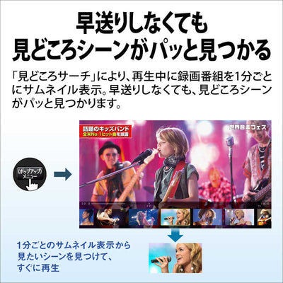 シャープ　SHARP ブルーレイレコーダー AQUOS(アクオス) ［1TB /2番組同時録画］ 2B-C10GW1