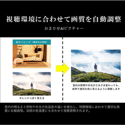 TVS REGZA 液晶テレビ REGZA(レグザ) [50V型 /Bluetooth対応 /4K対応 /BS・CS 4Kチューナー内蔵 /YouTube対応] 50M550M