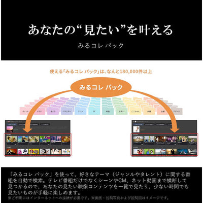 TVS REGZA 液晶テレビ REGZA(レグザ) [50V型 /Bluetooth対応 /4K対応 /BS・CS 4Kチューナー内蔵 /YouTube対応] 50M550M