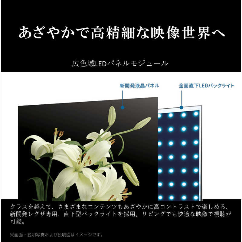 TVS REGZA 液晶テレビ REGZA(レグザ) [43V型 /Bluetooth対応 /4K対応 /BS・CS 4Kチューナー内蔵 /YouTube対応] 43M550M