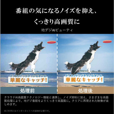 TVS REGZA 液晶テレビ REGZA(レグザ) [43V型 /Bluetooth対応 /4K対応 /BS・CS 4Kチューナー内蔵 /YouTube対応] 43M550M