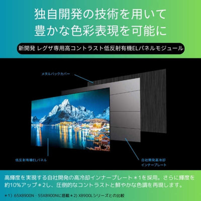 TVS REGZA 有機ELテレビ REGZA(レグザ) [48V型 /Bluetooth対応 /4K対応 /BS・CS 4Kチューナー内蔵 /YouTube対応] 48X8900N