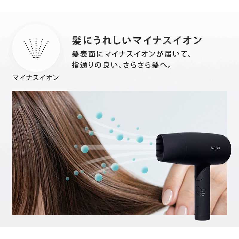 サロニア スピーディーイオンドライヤー グレー SL-013GR