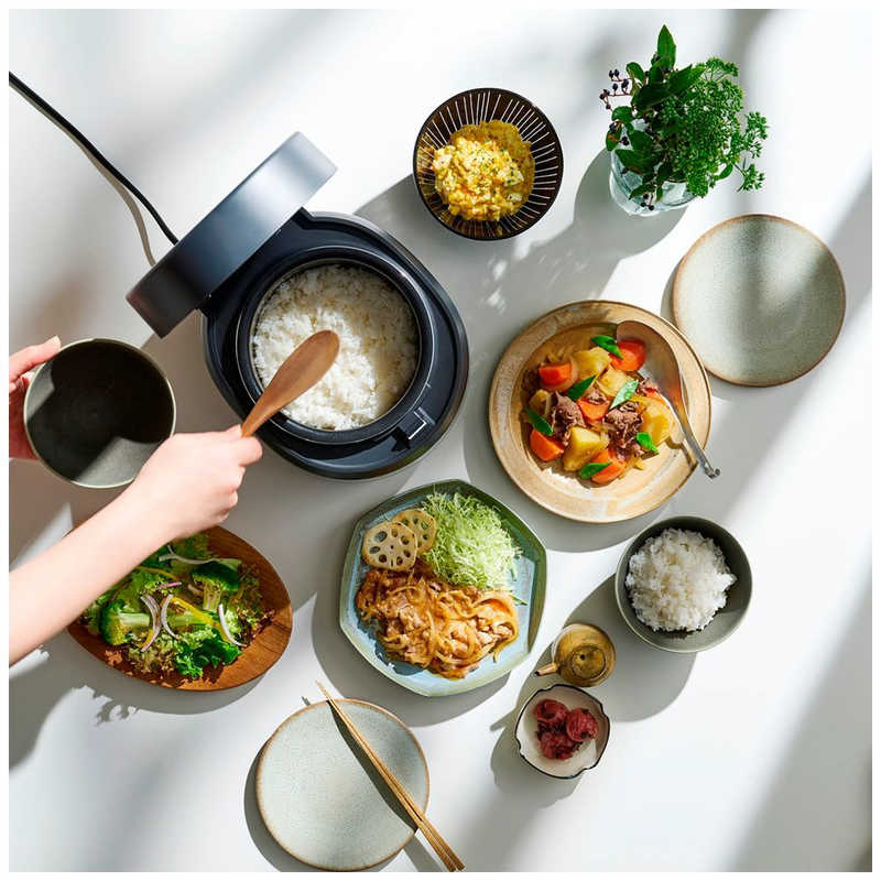 アイリスオーヤマ　IRIS OHYAMA 炊飯器 3合 アッシュ SHK-NR105-HA