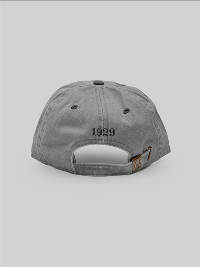 OIDAI new hattan baseball low cap OIKAZE logo purple